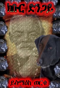 ክቡር ድንጋይ book cover by Yismake Worku